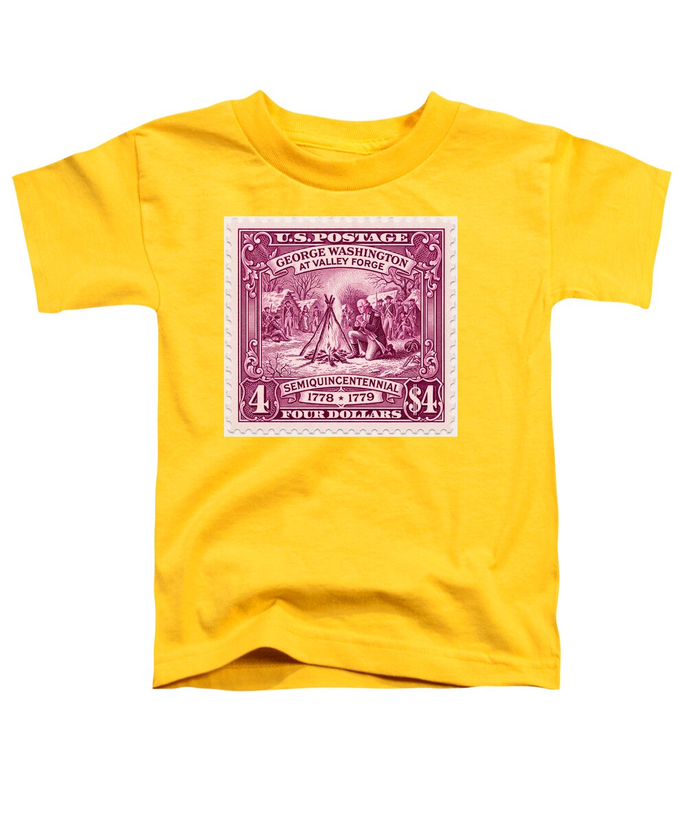 Valley Forge $4 3 - Toddler T-Shirt