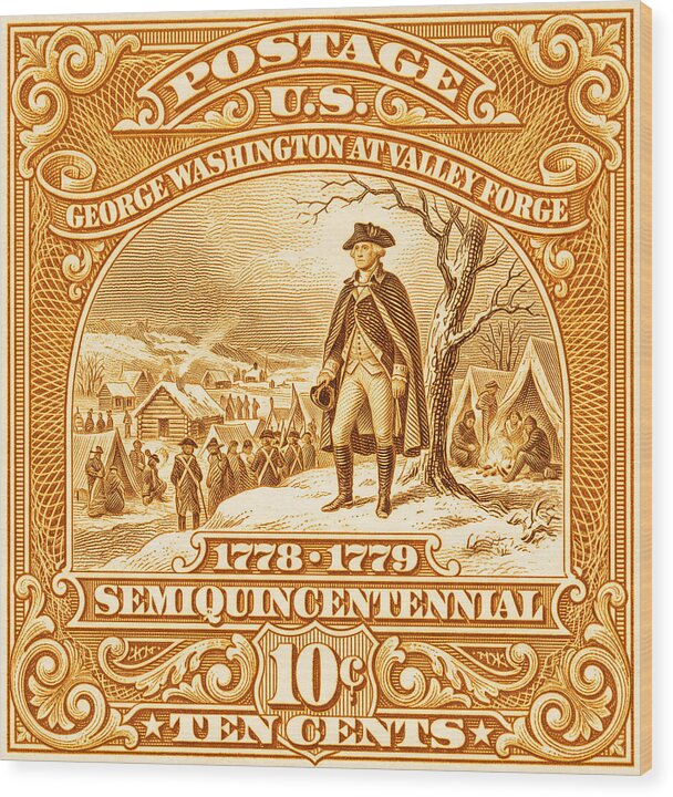 Valley Forge 10c 2 - Wood Print