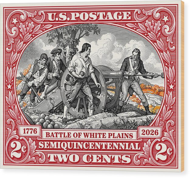 White Plains 2c - Wood Print
