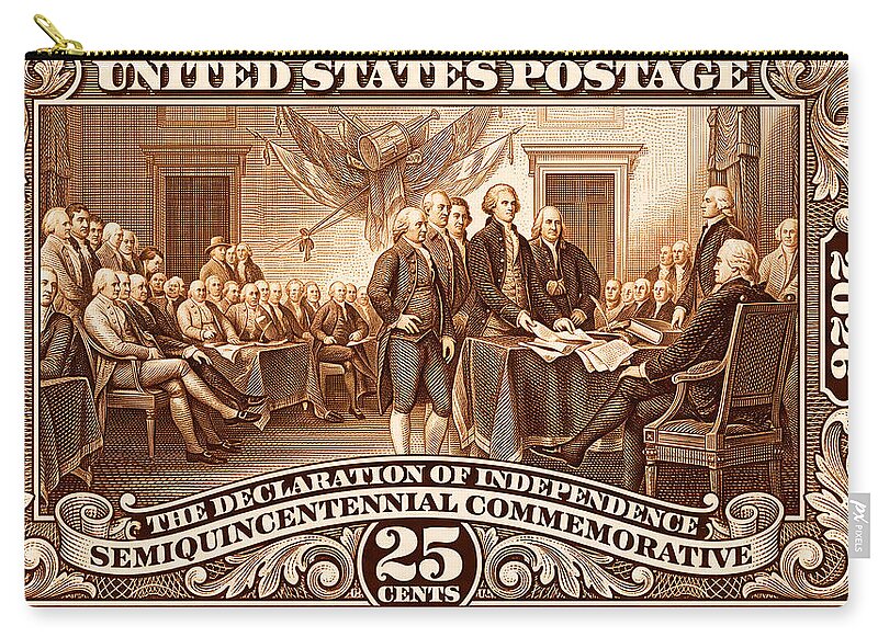 Declaration 25c 2 - Zip Pouch