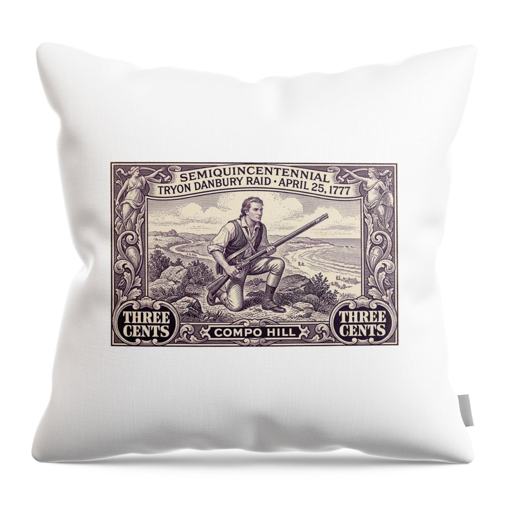 Tryon Danbury Raid 3c 1 - Throw Pillow