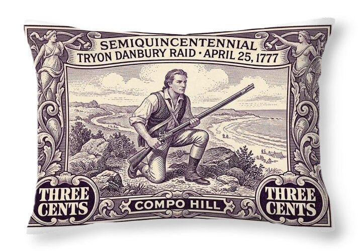 Tryon Danbury Raid 3c 1 - Throw Pillow