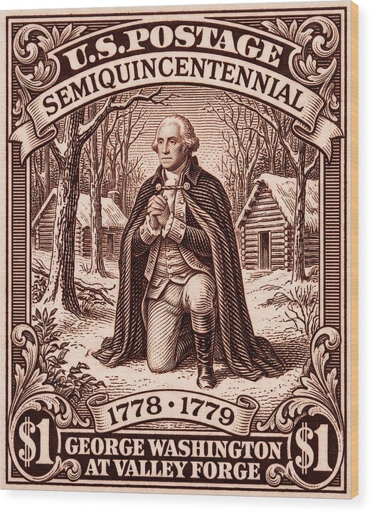 Valley Forge $1 2 - Wood Print