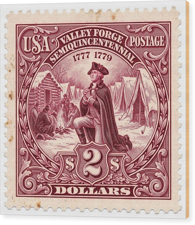 Valley Forge $2 1 - Wood Print