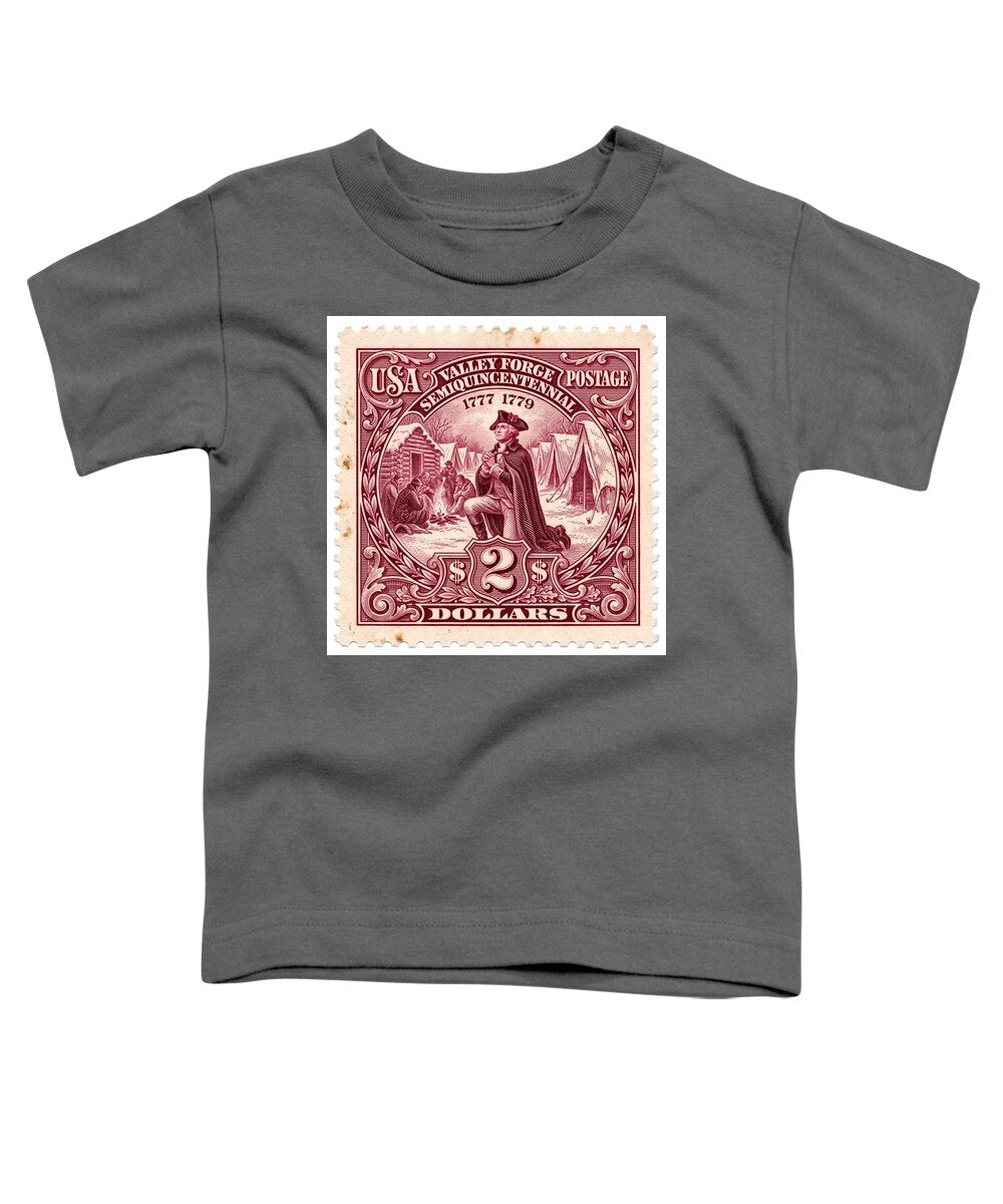 Valley Forge $2 1 - Toddler T-Shirt