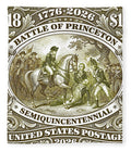 Battle of Princeton $18 - Blanket