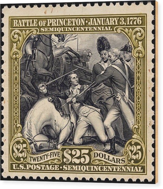 Battle of Princeton $25 - Wood Print