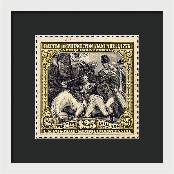 Battle of Princeton $25 - Framed Print