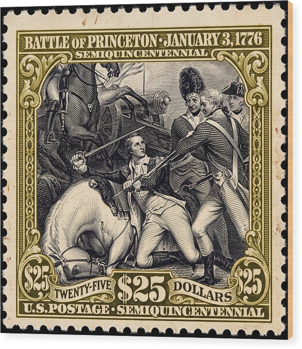 Battle of Princeton $25 - Wood Print