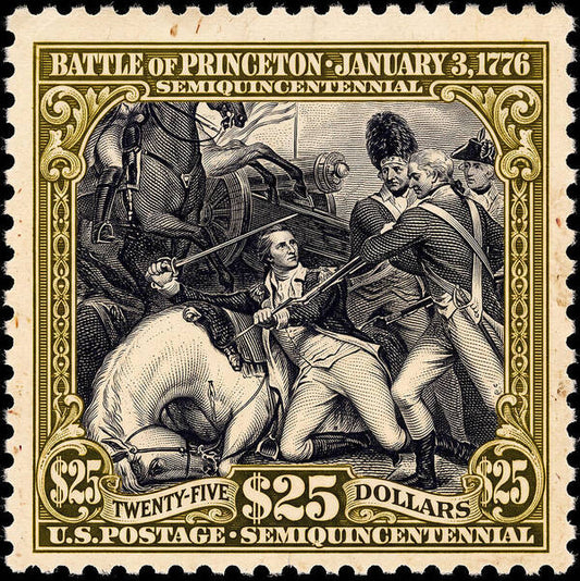 Battle of Princeton $25 - Art Print
