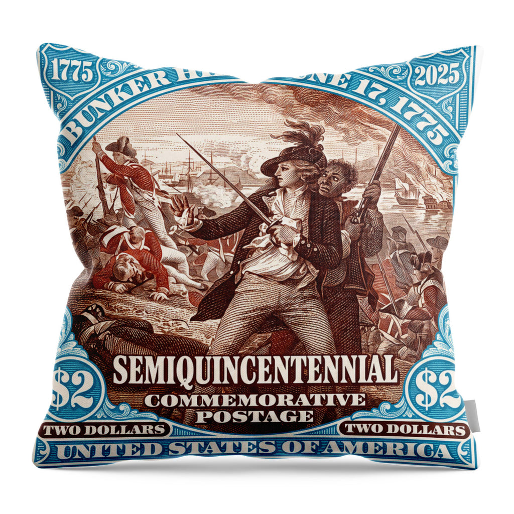 Bunker Hill $2 - Throw Pillow