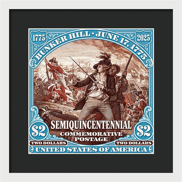 Bunker Hill $2 - Framed Print