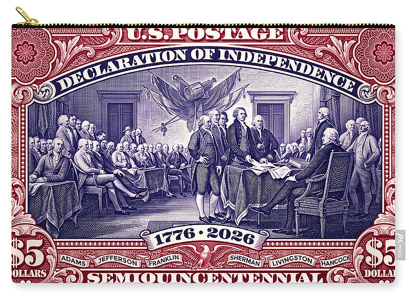Declaration $5 2 - Zip Pouch