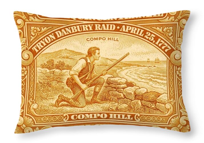 Tryon Danbury Raid 10c - Throw Pillow