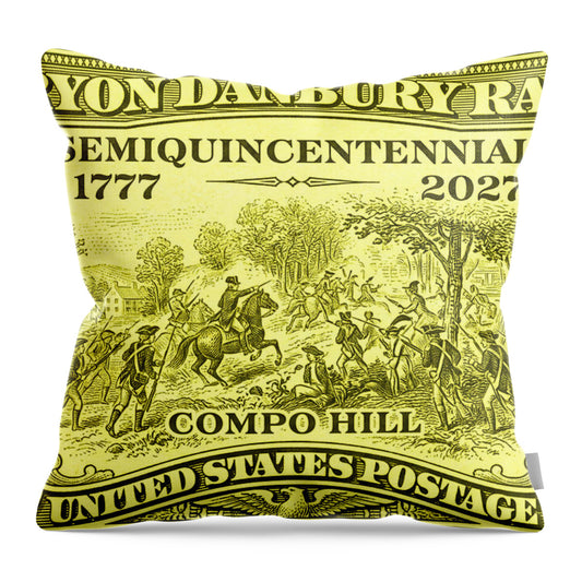 Tryon Danbury Raid 1c - Throw Pillow