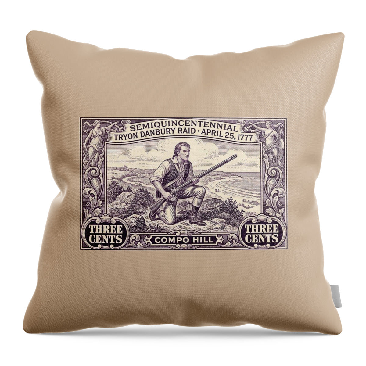 Tryon Danbury Raid 3c - Throw Pillow