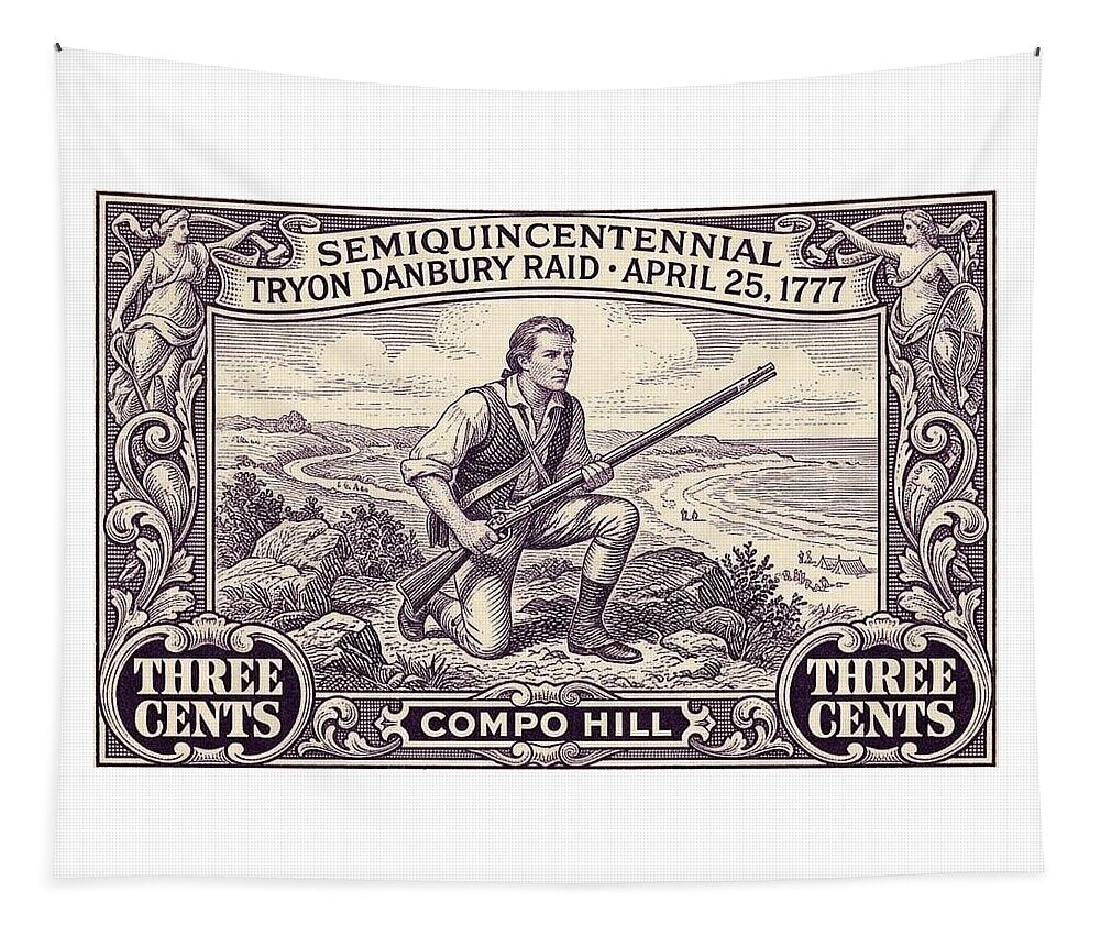 Tryon Danbury Raid 3c - Tapestry